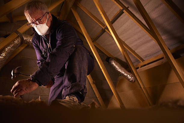 Best Insulation Installation Services in Falls City, NE